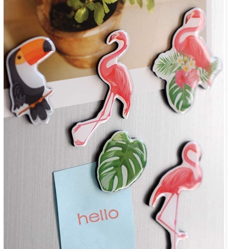 Flaming, palm leaf, and toucan magnets on a fridge