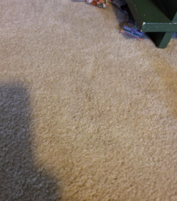 The same reviewer's carpet now completely clear of the stain
