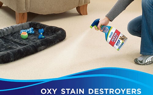 person using a woolite bottle of pet stain remover
