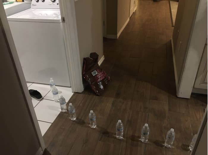 Seven water bottles are lined up on the floor leading away from a washer