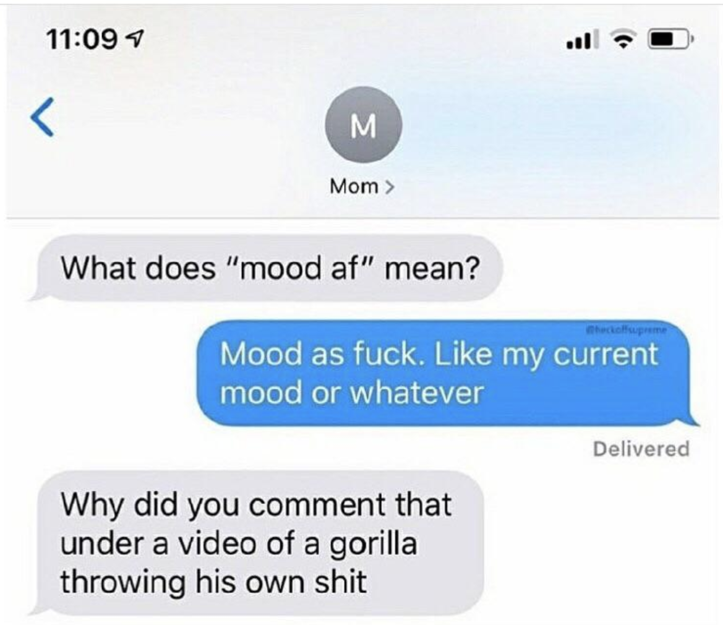 A text from someone's mom saying, "What does 'mood af" mean?," a response that goes, "Mood as fuck. Like my current mood or whatever" then the mom texting, "Why did you comment that under a video of a gorilla throwing his own shit"