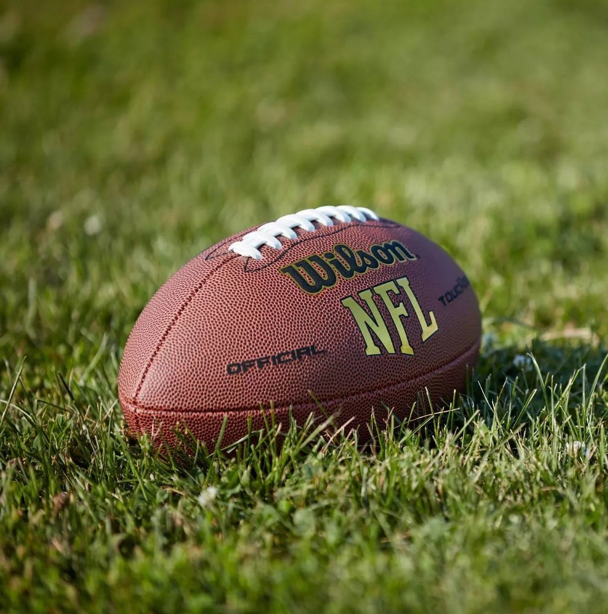 The Wilson Touchdown official football of the NFL