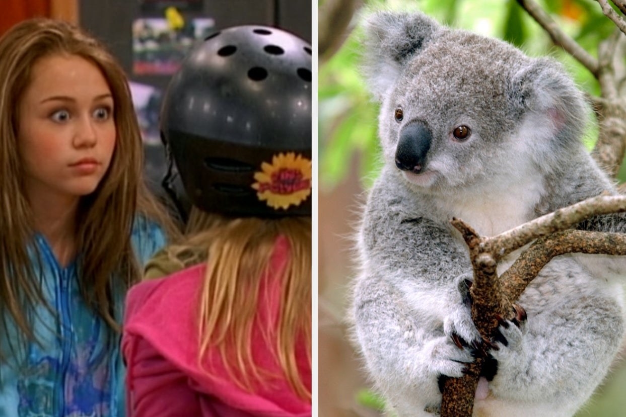 Miley Stewart from &quot;Hannah Montana&quot; and a koala.