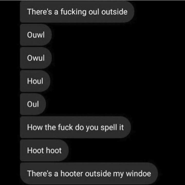 Text where someone can&#x27;t spell owls