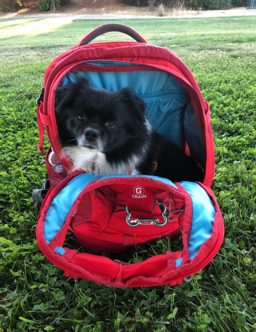 adidas puppy backpack