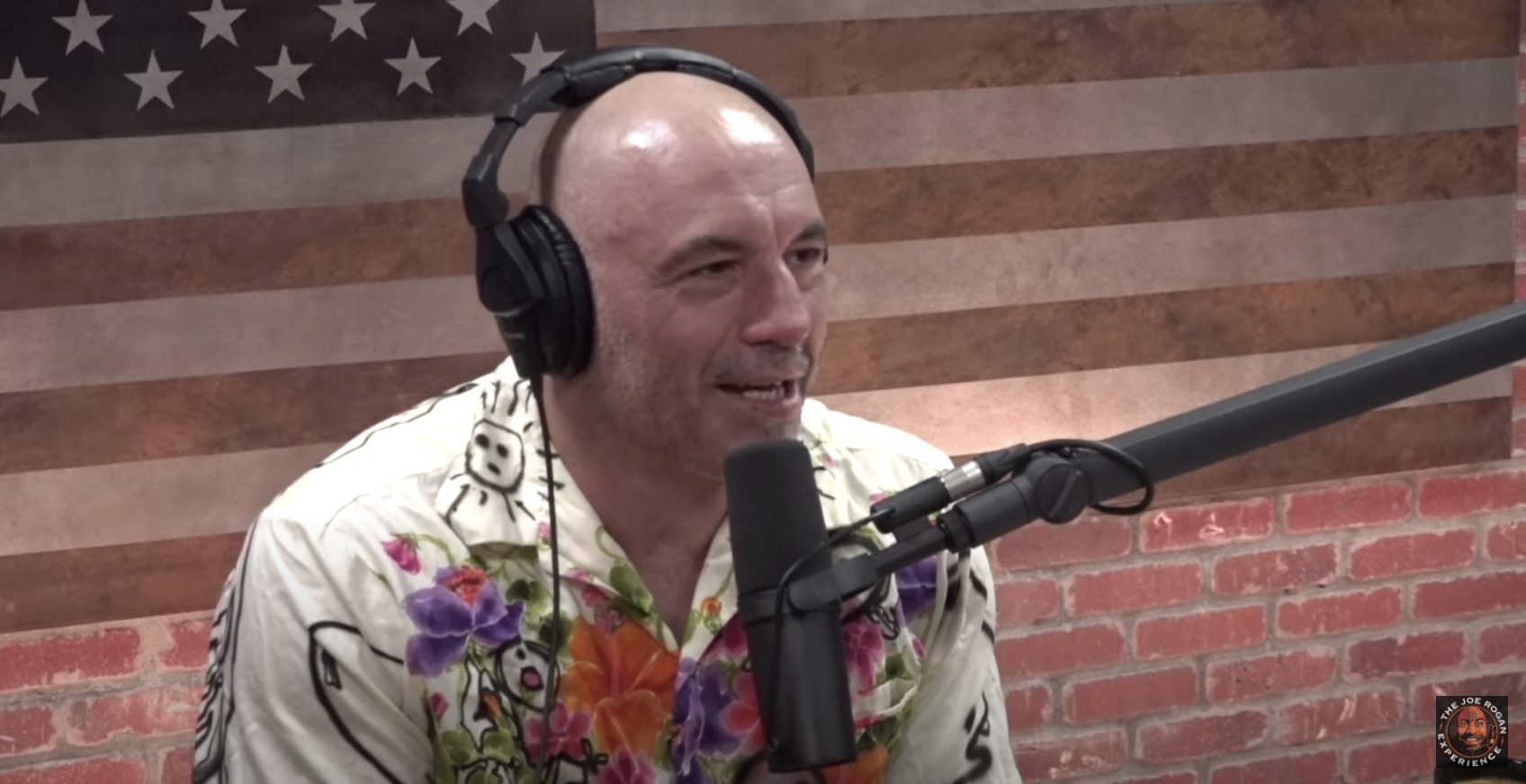 Joe Rogan saying &quot;They all do the same move&quot;