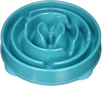 blue slow feeder dog bowl on white background