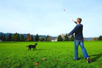 person and dog playing fetch with a ball launcher
