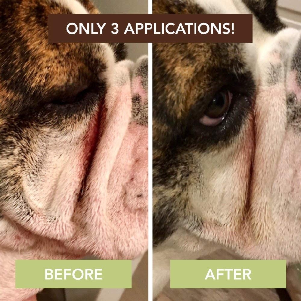 before and after picture of a dog who has used wrinkle balm