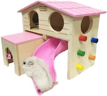 a white hamster in a pink hamster house