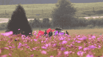 Celie sees Nettie and her children standing across a field of purple flowers