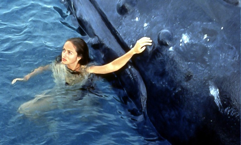 Neri in the water holding on to her humpback whale friend