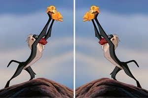 Rafiki holding simba up on pride rock, and a mirrored version of the image next to it