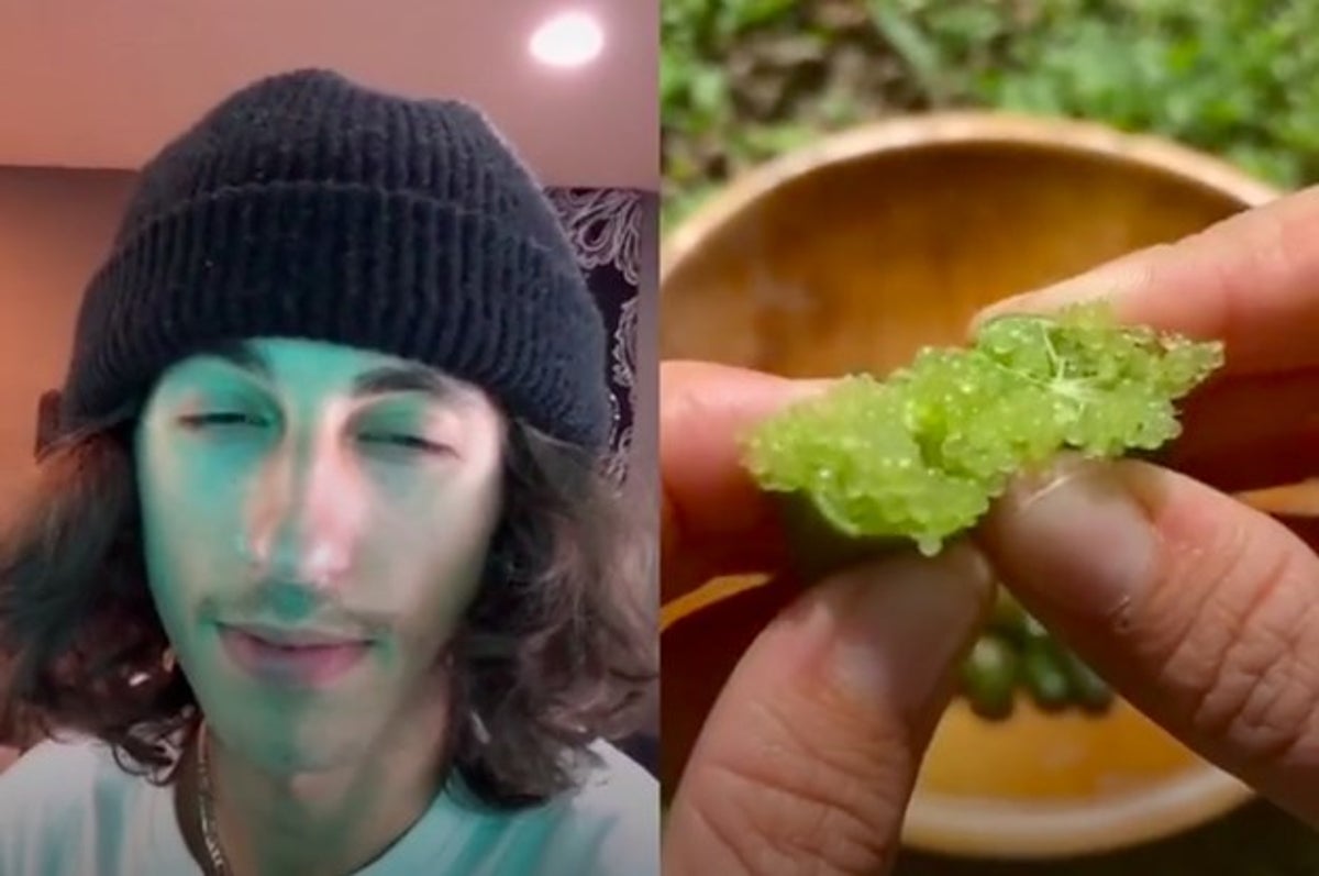 Guy Goes Viral On TikTok With Stoner Reaction Videos
