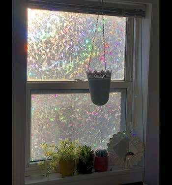 a window with plants in the windowsill and the clear, iridescent covering on it. sunshine is still coming through.