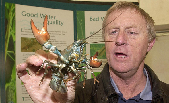 man holding crayfish looking confused