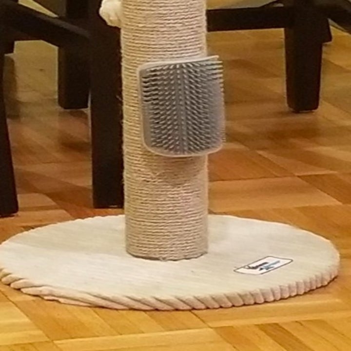 cat scratcher mounted on cat tower
