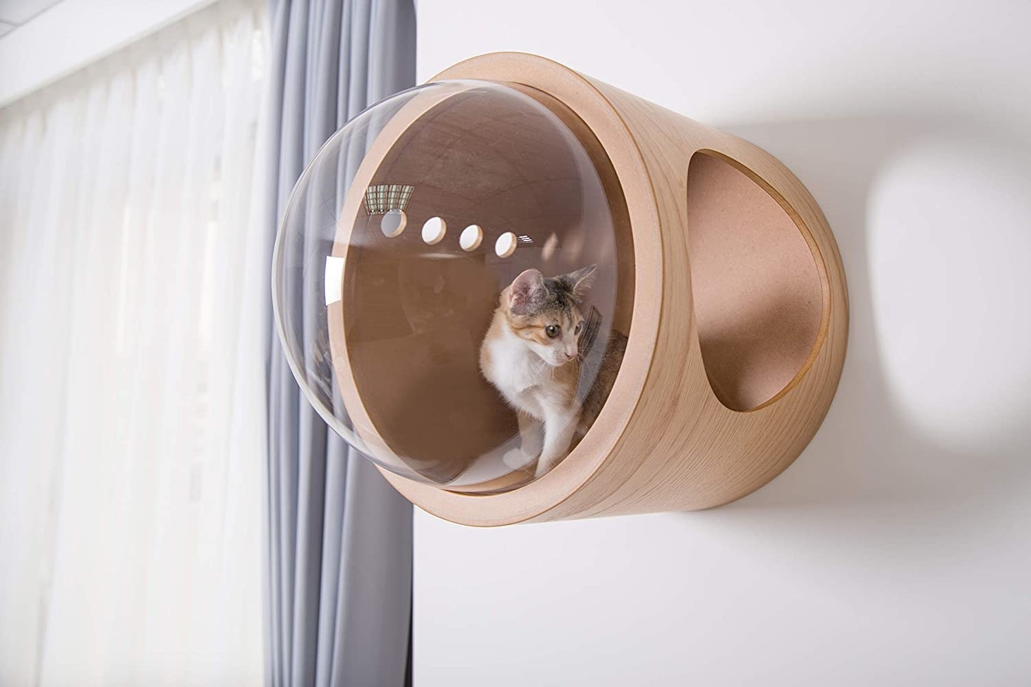 Product photo showing the MYZOO Spaceship cat bed mounted on a white wall with a kitten looking through the clear dome 