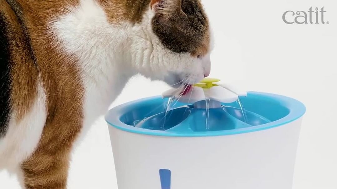 A cat drinking from a small water fountain