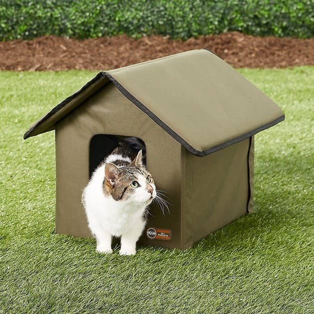 Introducing a Dog to a Cat Home — K&H Pet Products