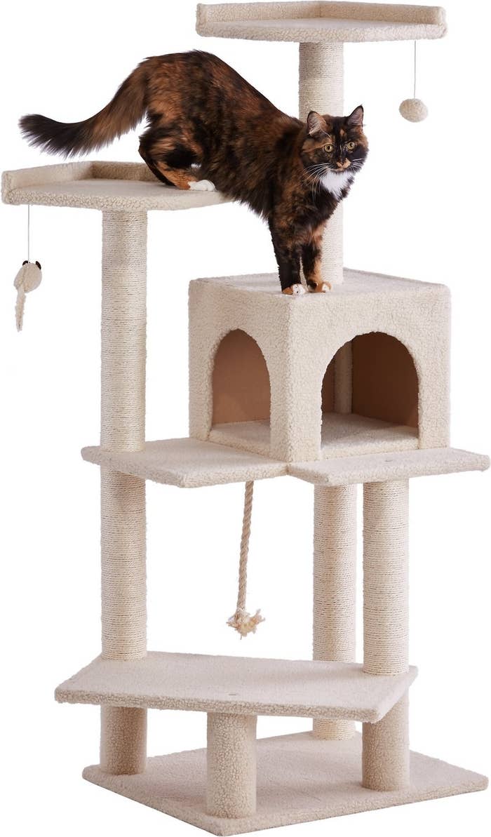 A cat plays on the cream colored Frisco 57-in Faux Fur Cat Tree &amp;amp; Condo