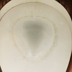 a dirty toilet with some brown stains and a ring 
