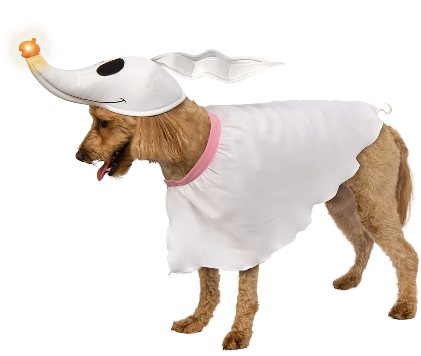 a dog wearing a hat that looks like zero's head from the nightmare before christmas and a ghostlike shirt