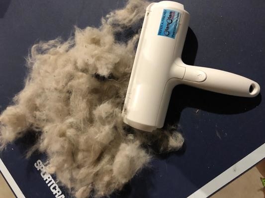 A customer&#x27;s ChomChom Roller Pet Hair Remover next to a pile of collected pet fur