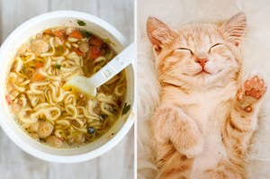 A bowl of instant ramen noodles on the left and a light-colored cat lying on it's back with it's eyes closed and its paws in the air