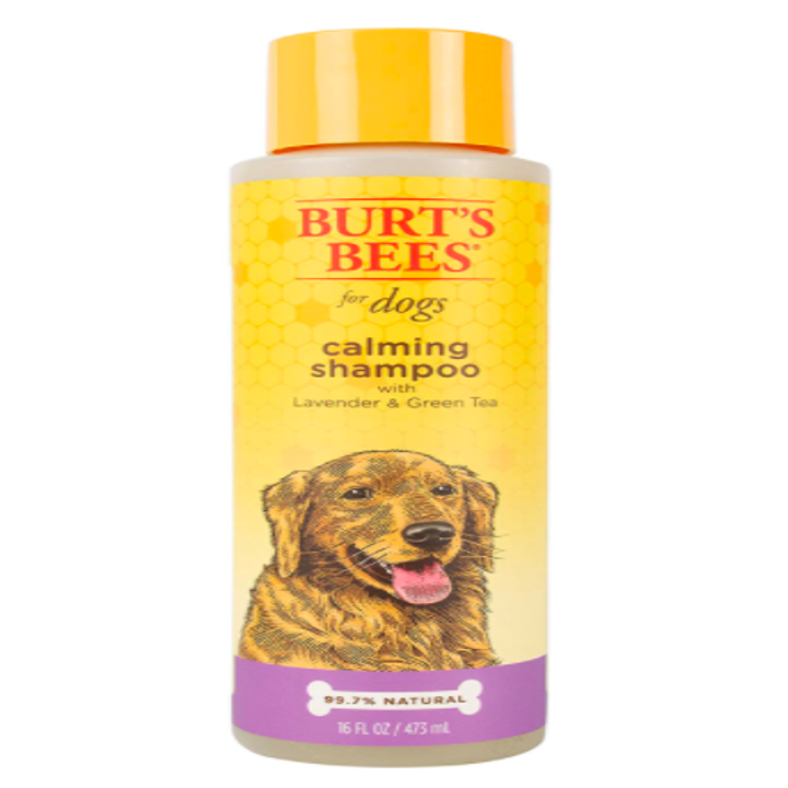 21 Amazon Pet Products You'll Probably Want For Yourself