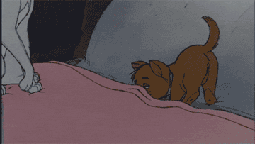 A cat from Aristocats snuggling under the covers 