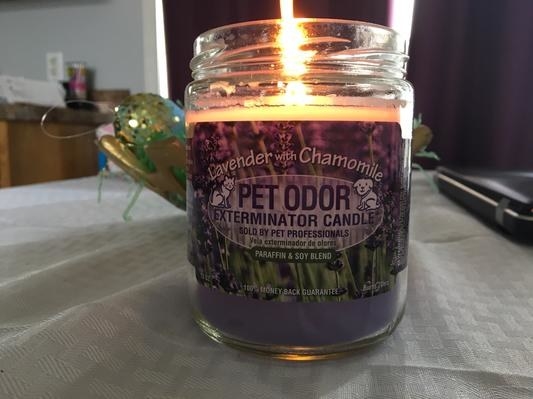 A jar of the Pet Odor Exterminator Lavender &amp;amp; Chamomile Deodorizing Candle burning in a customer&#x27;s home