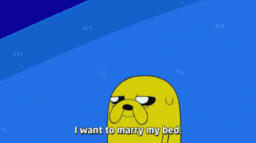 Jake from &quot;Adventure Time&quot; saying &quot;I want to marry my bed&quot;