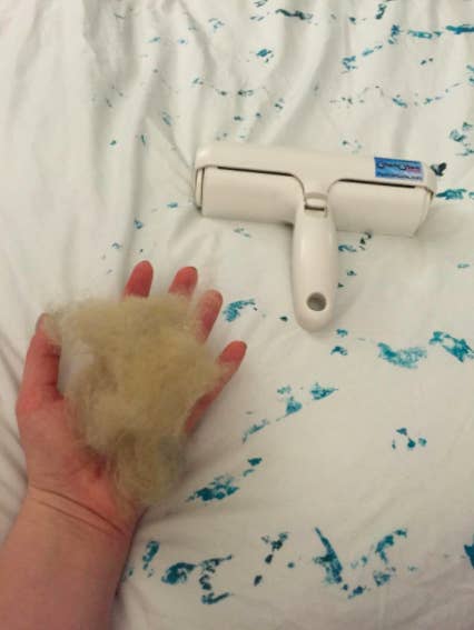 a reviewer photo of a hand holding lots of pet hair next to the roller