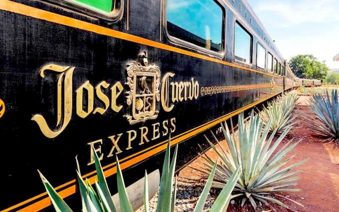 A luxury "jose cuervo" train on a track lined with spiky agave plants