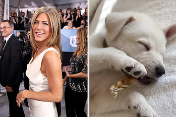 Jennifer Aniston and her new puppy