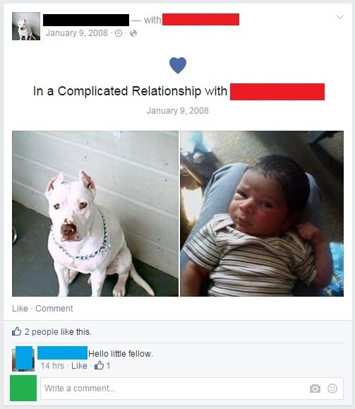 A post announcing a &quot;complicated relationship&quot; between two people but their profile pictures are a dog and a baby