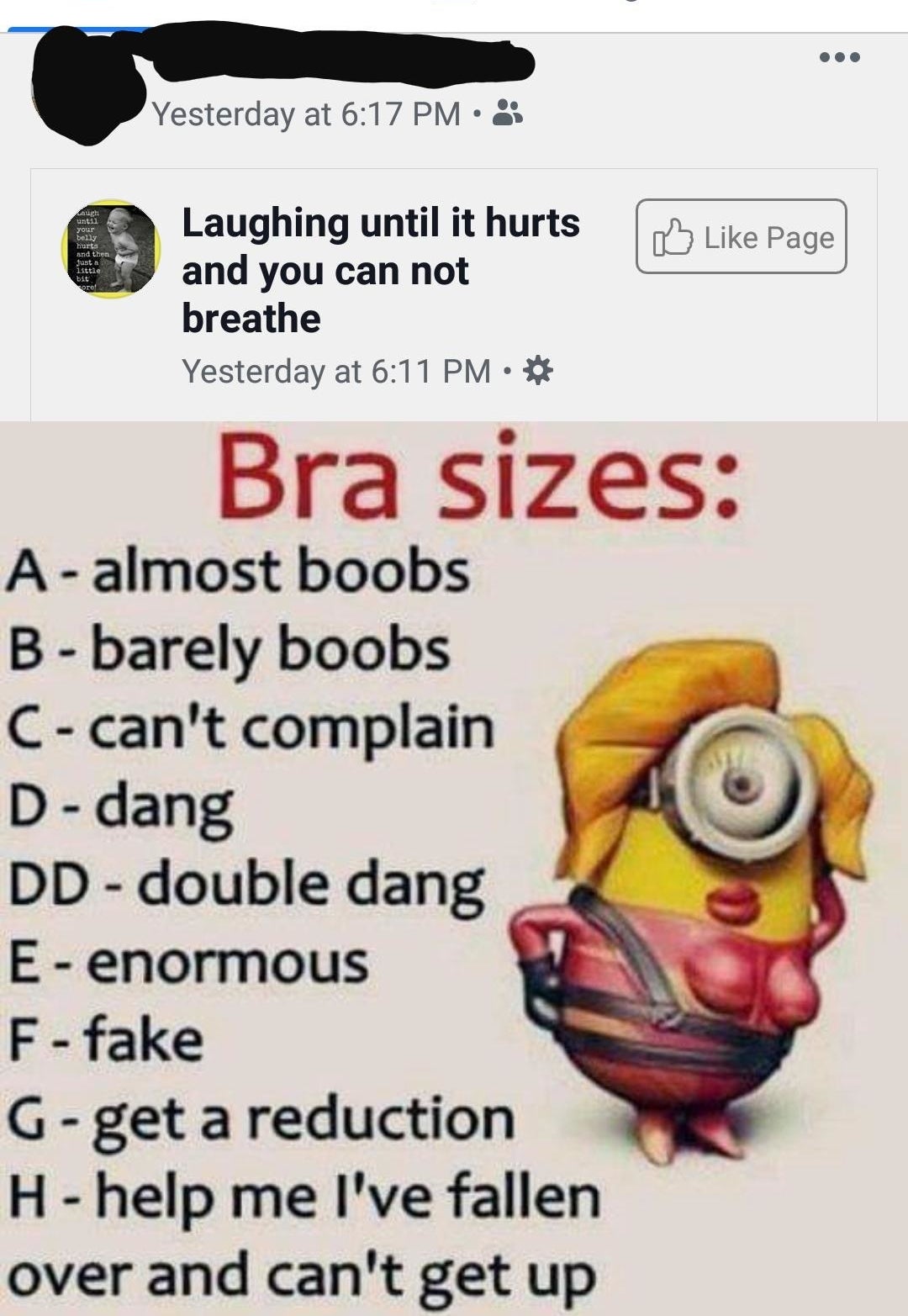 A particularly horrendous Minions meme that goes through what the various bra size letters stand for, for example DD is &quot;double dang&quot;