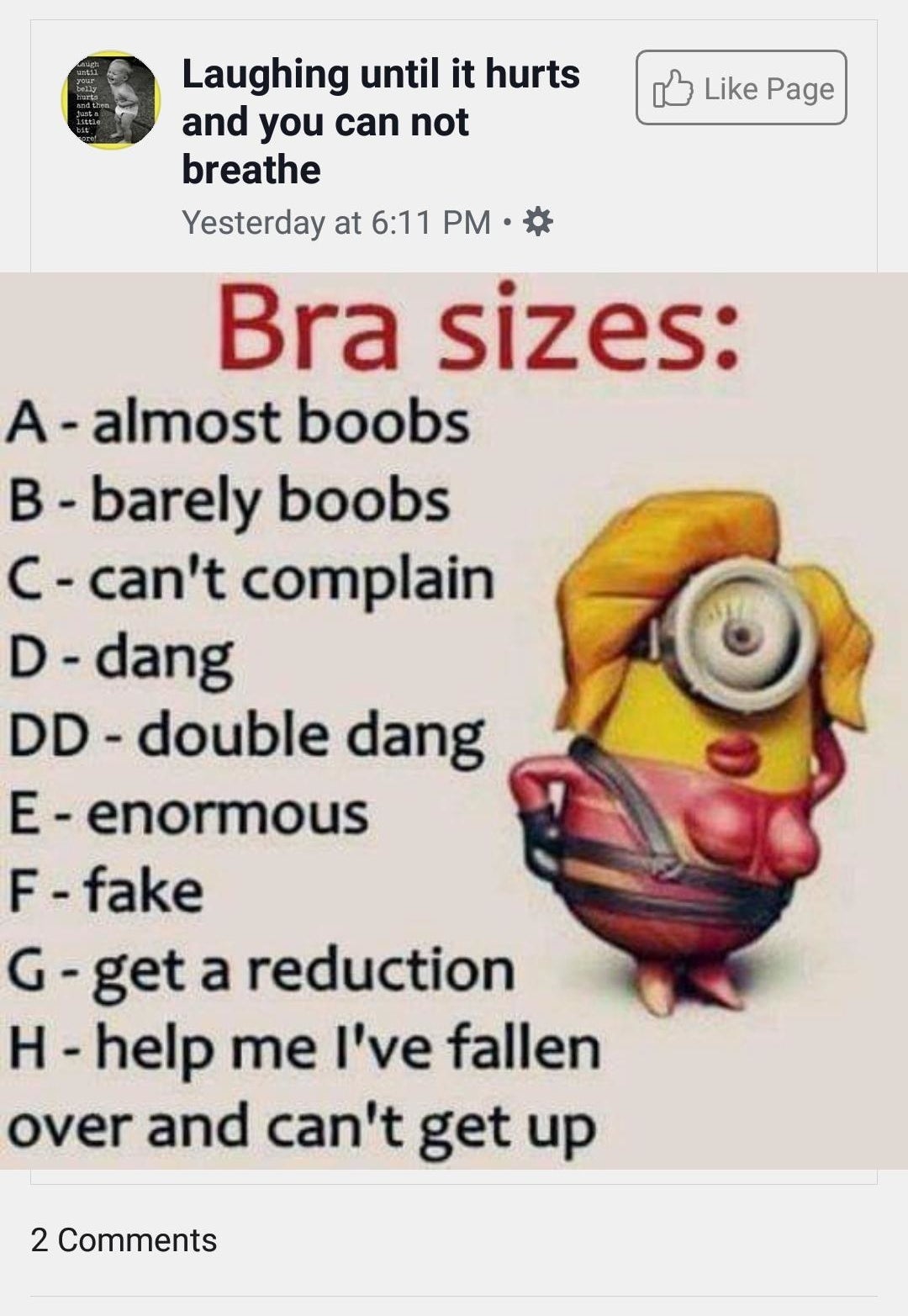 A particularly horrendous Minions meme that goes through what the various bra size letters stand for, for example DD is &quot;double dang&quot;