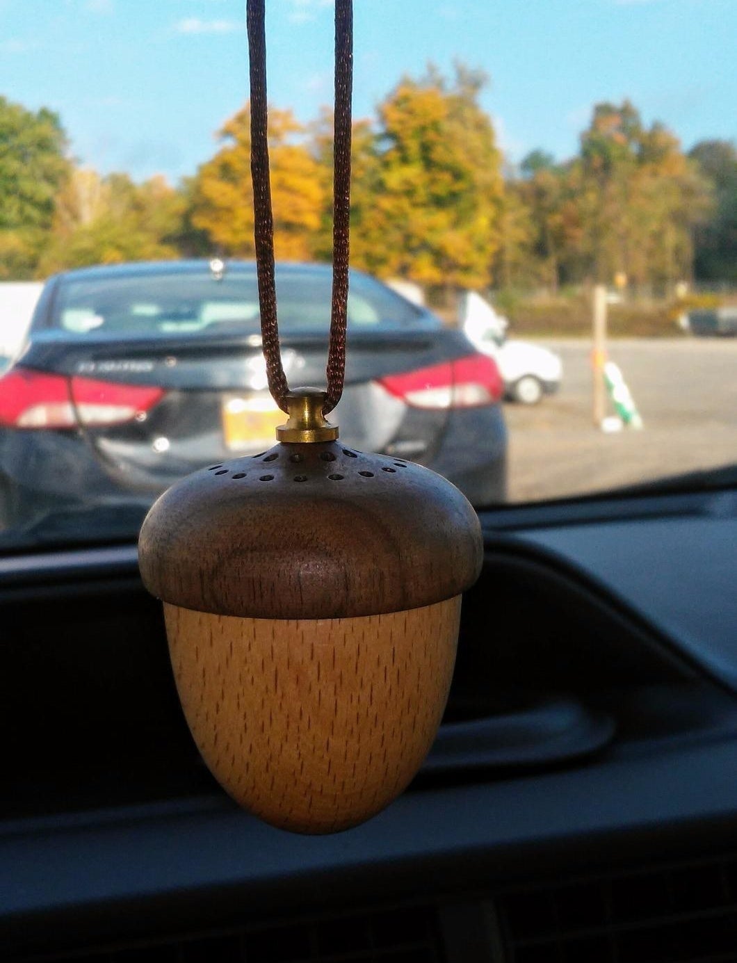 small acorn hanging from rearview mirror