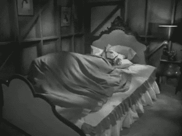 Gif of Mr. Ed the horse laying in a massive bed 
