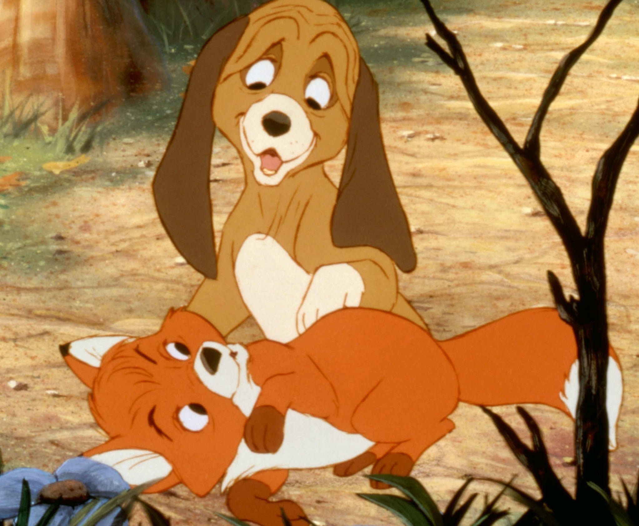 7. The Fox and the Hound. 