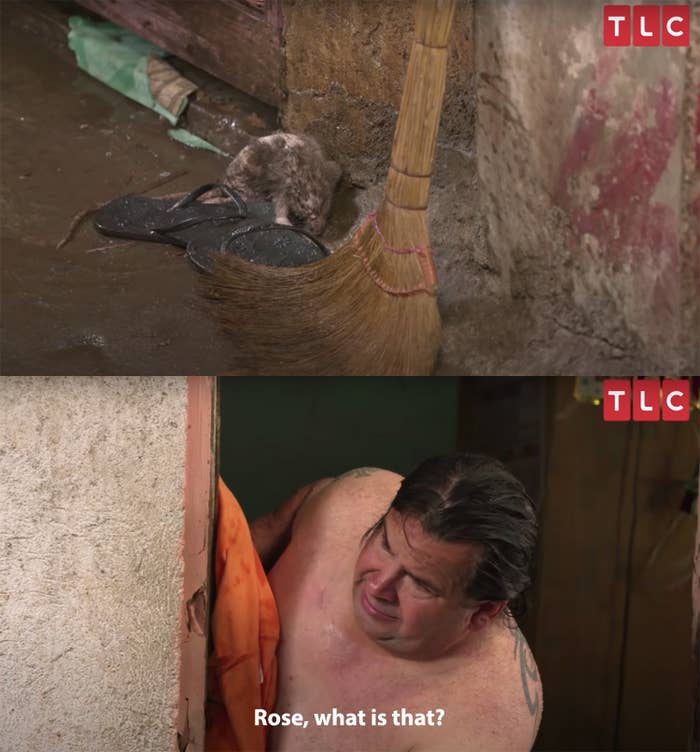 Ed is scared of the rat in the outdoor shower