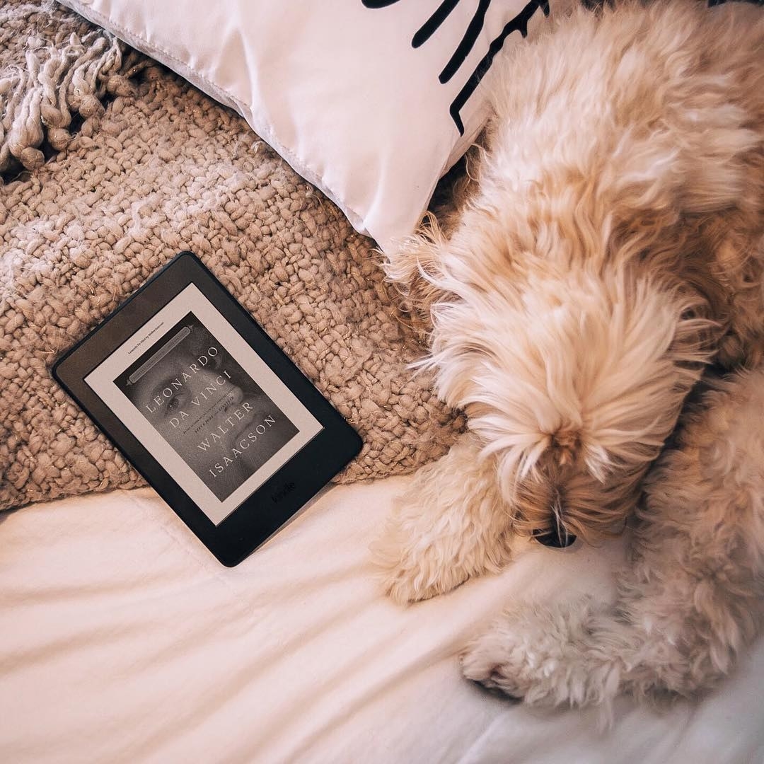 A dog next to a Kindle