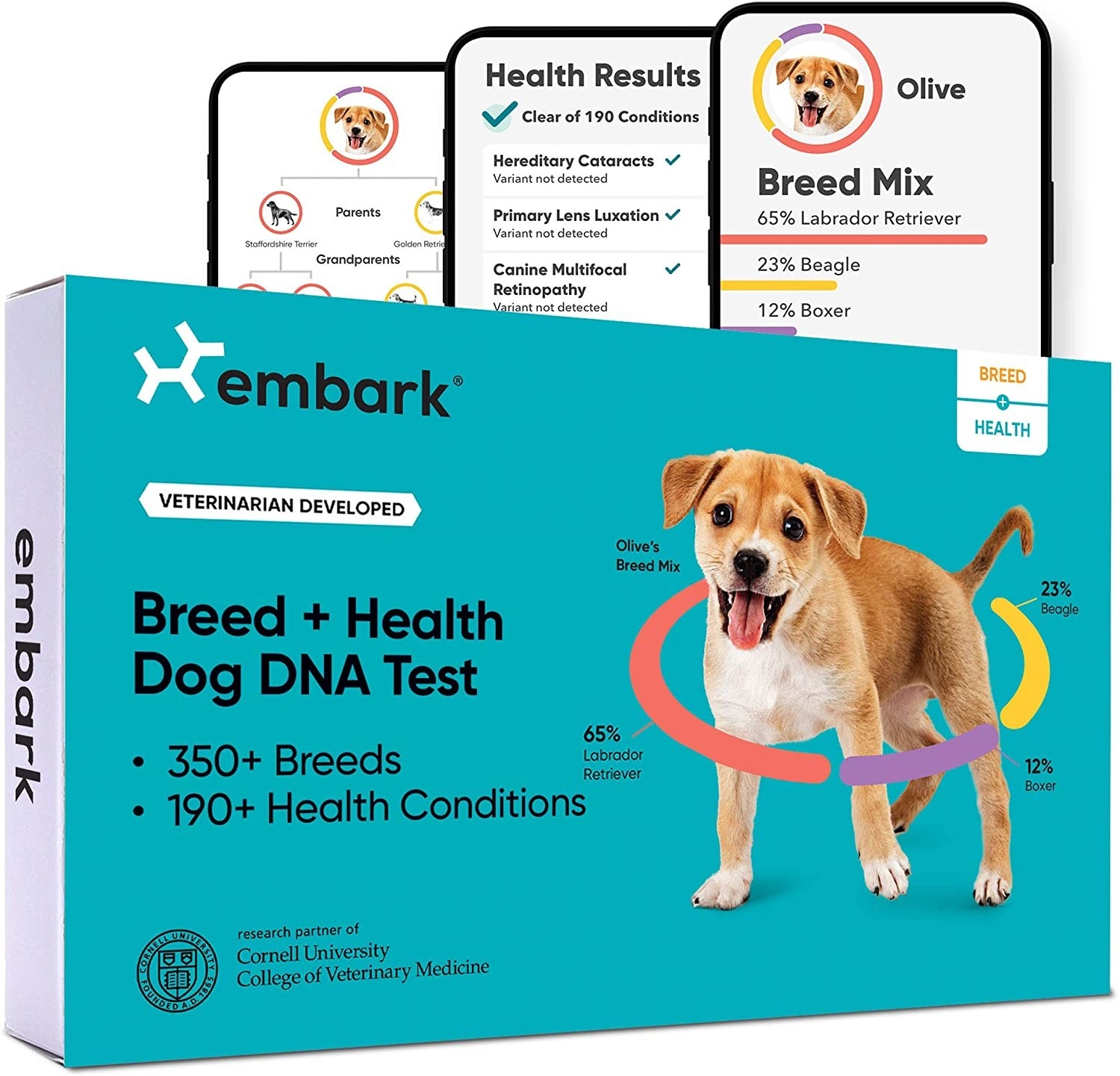 Dog DNA test 