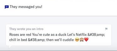 Intro message reading, &quot;Roses are red. You&#x27;re cute as a duck. Let&#x27;s Netflix and chill in bed, and then we&#x27;ll cuddle&quot; 