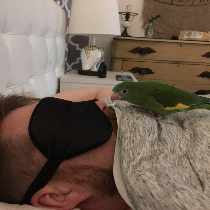 A reviewer demonstrating the product's effectiveness with a bird perched on their face