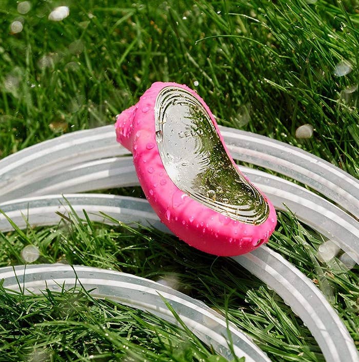A Lelo sex toy on a lawn