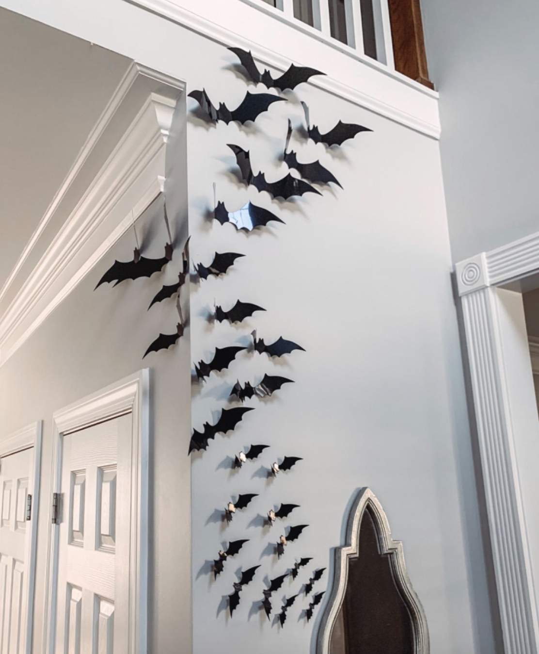 reviewer photo of black bats on a wall in their home