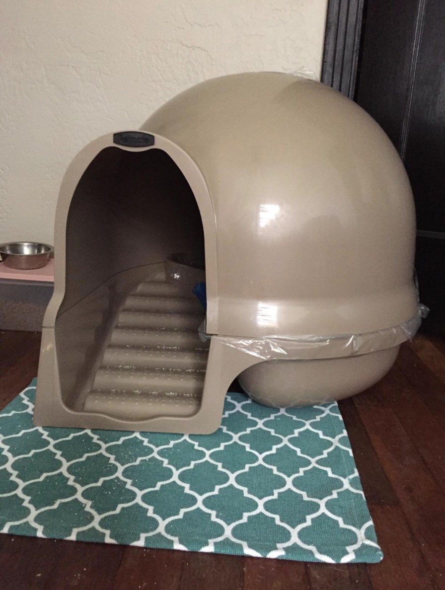 A reviewer&#x27;s photo of the clean set cat litter box in titanium